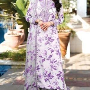 3PC printed embroidered suit